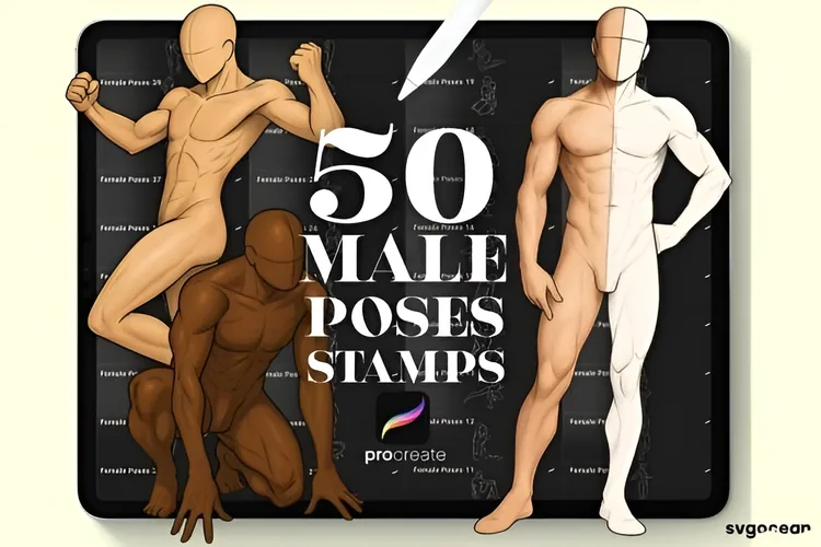 Male Pose Procreate Brushes: Figure Drawing Stamps: Ready-to-use male pose stamps for accurate anatomy and dynamic figure compositions in minutes, directly inside Procreate.